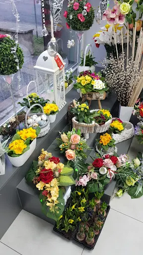 Kwiaciarnia W Lawendowym Ogrodzie